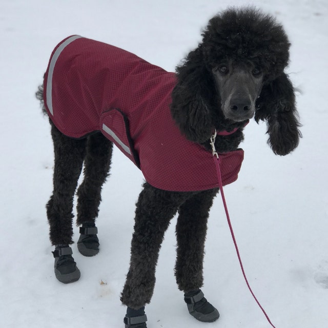 Extreme Winter Dog Coat Tough dog coat custom dog coat Etsy