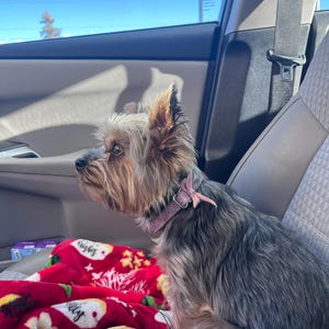 Lavelle ha añadido una foto de su compra