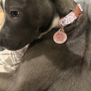 katelyn added a photo of their purchase
