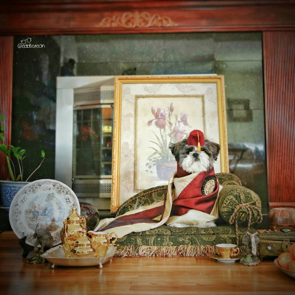 Customer photo of a pet with the Fez Hat mini small pet Cat Dog Hedgehog Vogue