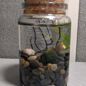 Danielle added a photo of their purchase