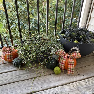 Catherine added a photo of their purchase