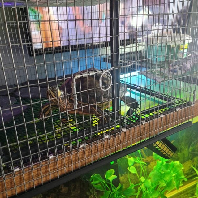 Turtle Basking Dock, Pet Tank Resting, 7.87x5.51in Reptile Enclosure Lid, Authentic Aquatic Terrapin Cage, Easy Observation, For Restaurant, Balcony, Home Use