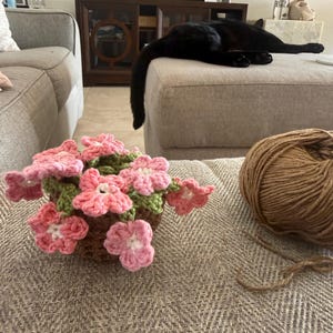 Caitlyn さんが購入した商品の写真を追加しました