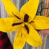 Reviewer's image