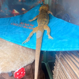 Sharkspazz added a photo of their purchase