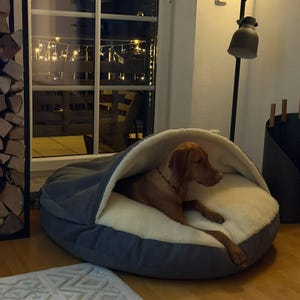 Caroline added a photo of their purchase