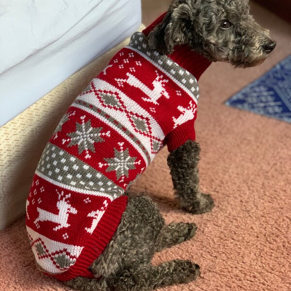 Languid Park - Puppy Embroidered Plaid Shirt