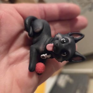 Holly added a photo of their purchase