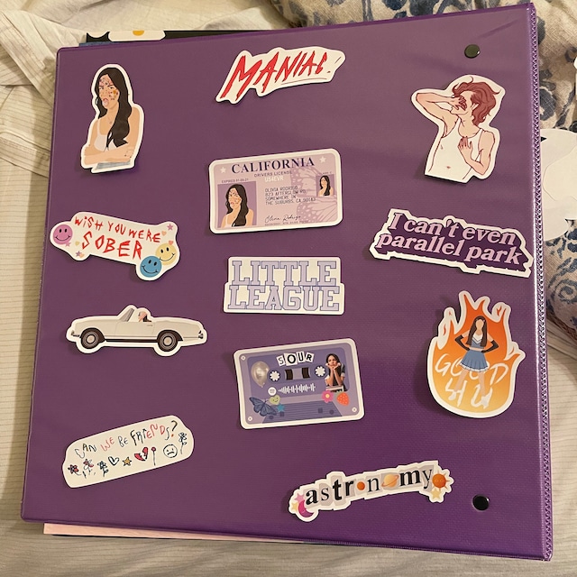 Conan Gray Inspired Sticker Pack (11 Pc) Bonus Sticker