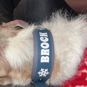 Inactive account added a photo of their purchase