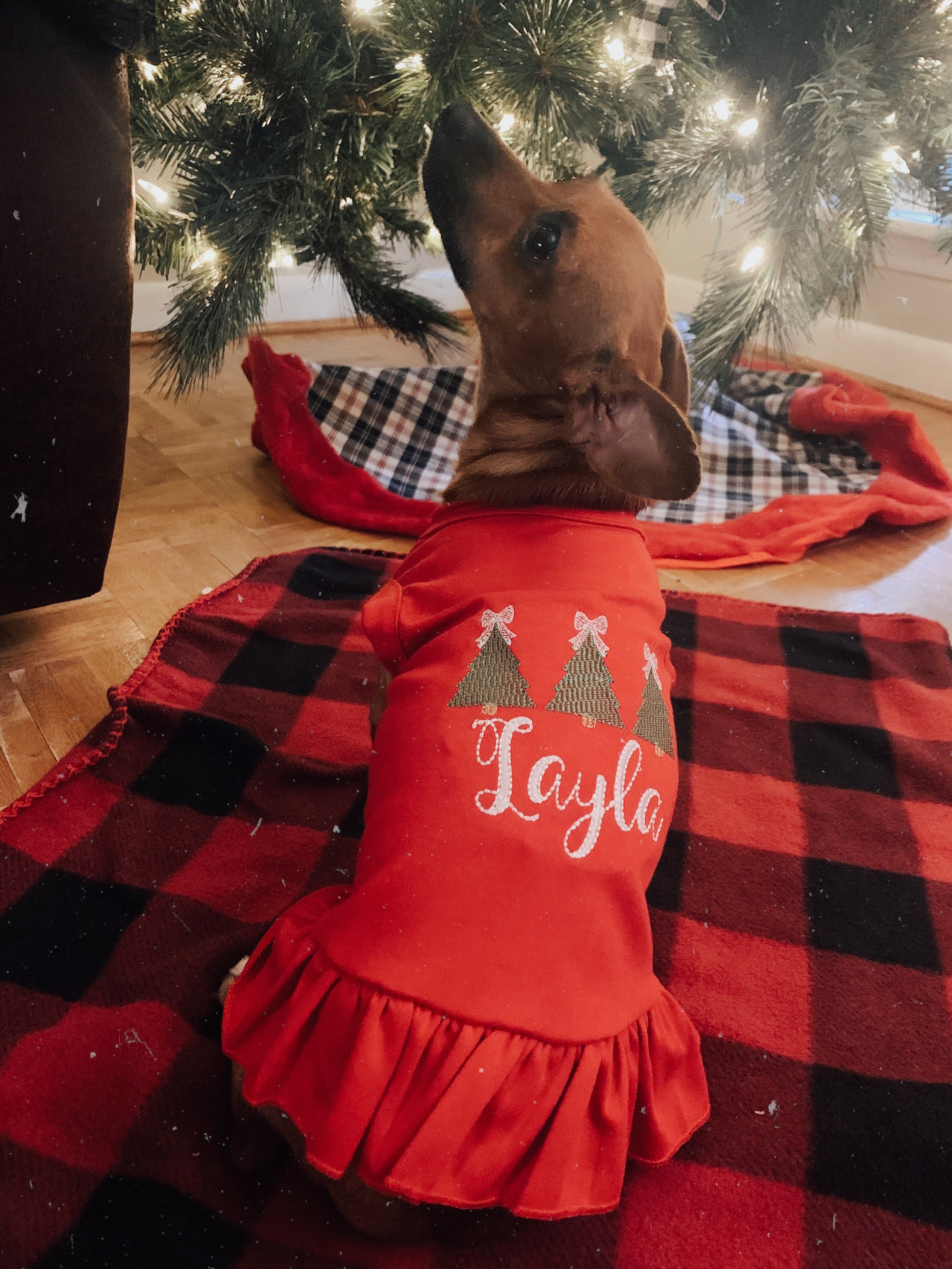 Christmas Dog Shirt or Dress, Christmas Bow Tree Sketch Trio Monogrammed Shirt, Beautiful Personalized Embroidered Holiday Puppy Clothing