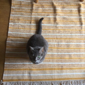 Charlotte a ajouté une photo de son achat