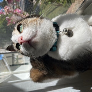 amelia hat ein Foto des gekauften Artikels hinzugefügt