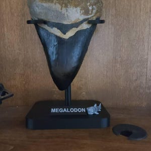 Melissa さんが購入した商品の写真を追加しました