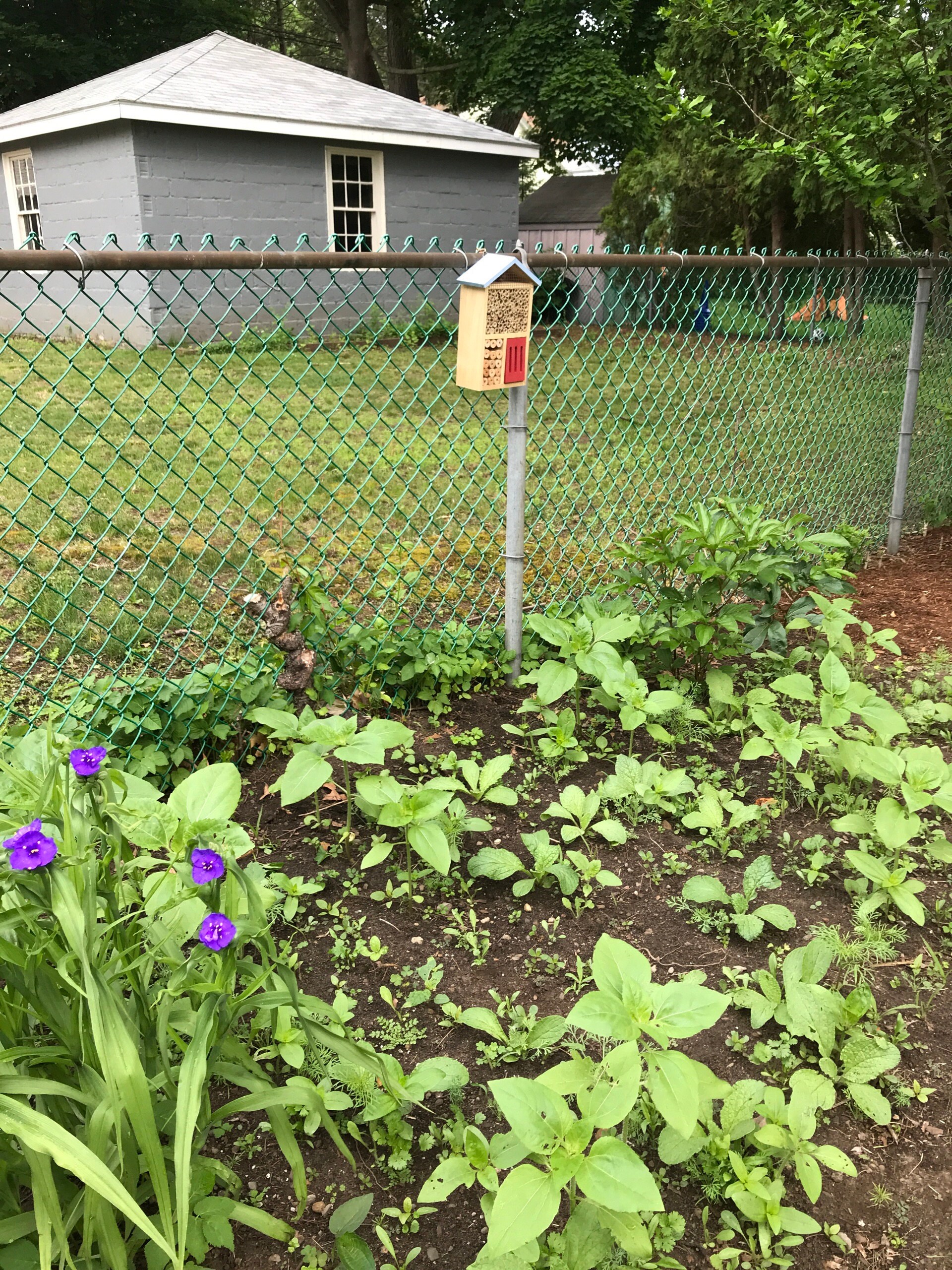 Sunny Pollinator Hotel Mehrzimmerhaus - Blattschneider &amp; Mauerbienen Insektenhabitat Einheimische Gärten Bio-Garten Gärtner Natur Geschenk