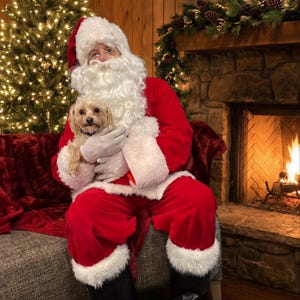Kalley added a photo of their purchase