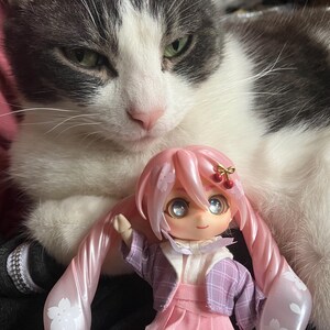 Wendy added a photo of their purchase