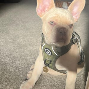 Molly added a photo of their purchase