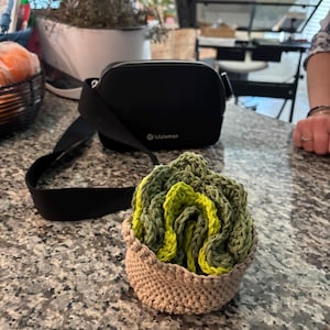 Jhanifor added a photo of their purchase