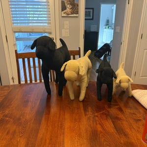 Stefanie added a photo of their purchase