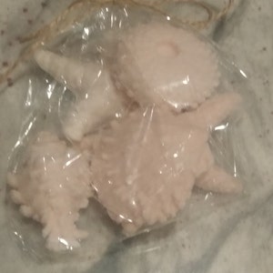 Maria added a photo of their purchase