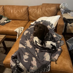 tammy adicionaram uma foto da sua compra