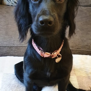 Faye added a photo of their purchase
