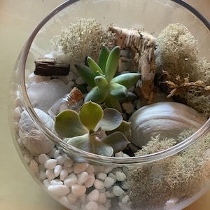 Lu added a photo of their purchase