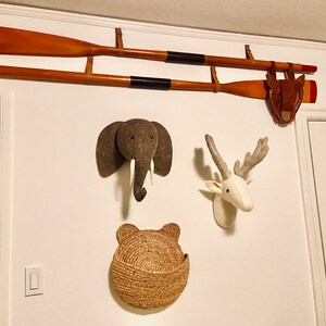 Andrea heeft een foto van zijn/haar aankoop toegevoegd