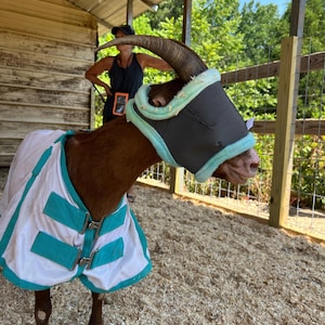 Sarah ha añadido una foto de su compra