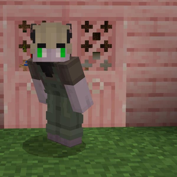 Custom Minecraft Skin - Etsy