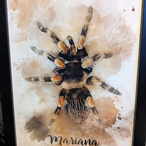Etsy buyer added a photo of their purchase