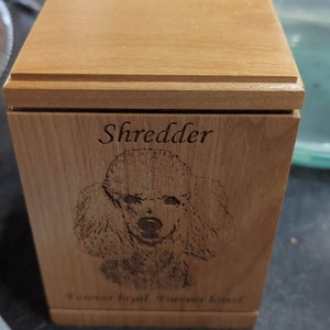 Maddison added a photo of their purchase