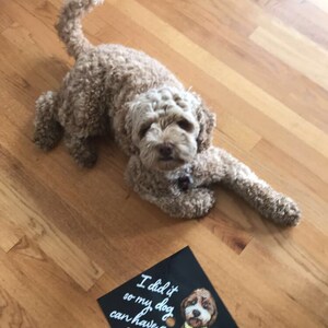 Maya added a photo of their purchase