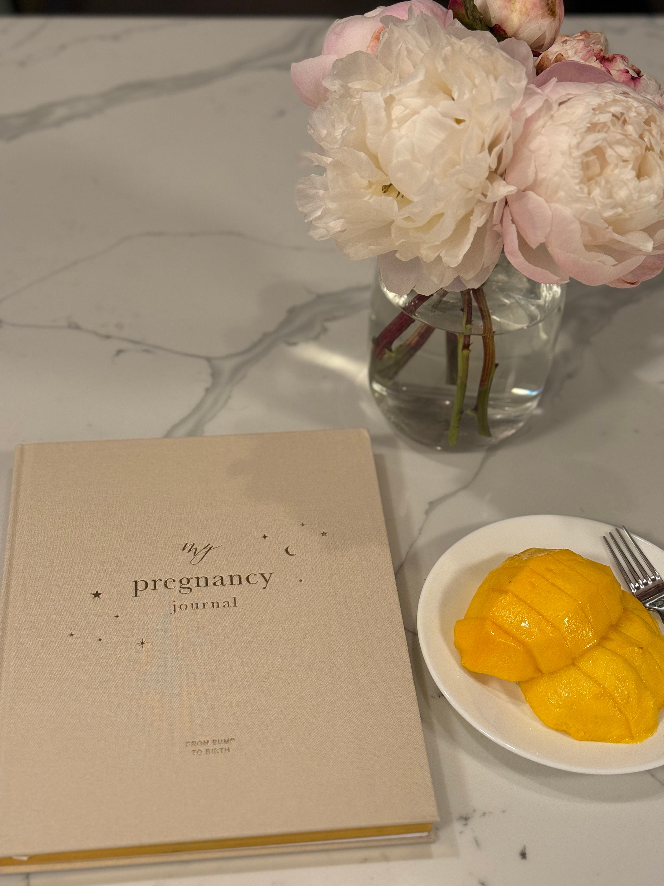 My Pregnancy Journal, Expectant Mother Gift, Pregnancy Planner - Pearl - gift for parents to be, pregnancy record book w/gilded edges