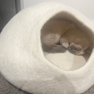 Teresa added a photo of their purchase