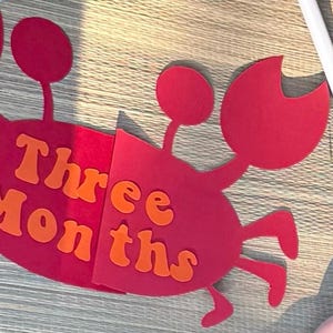 Four Leaf Clover Outline Stencil Pattern Shape Commercial Use Png