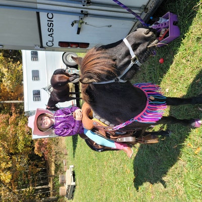 Pony Tack Set Fringe Breast Collar Reins and Pony Headstall - Etsy