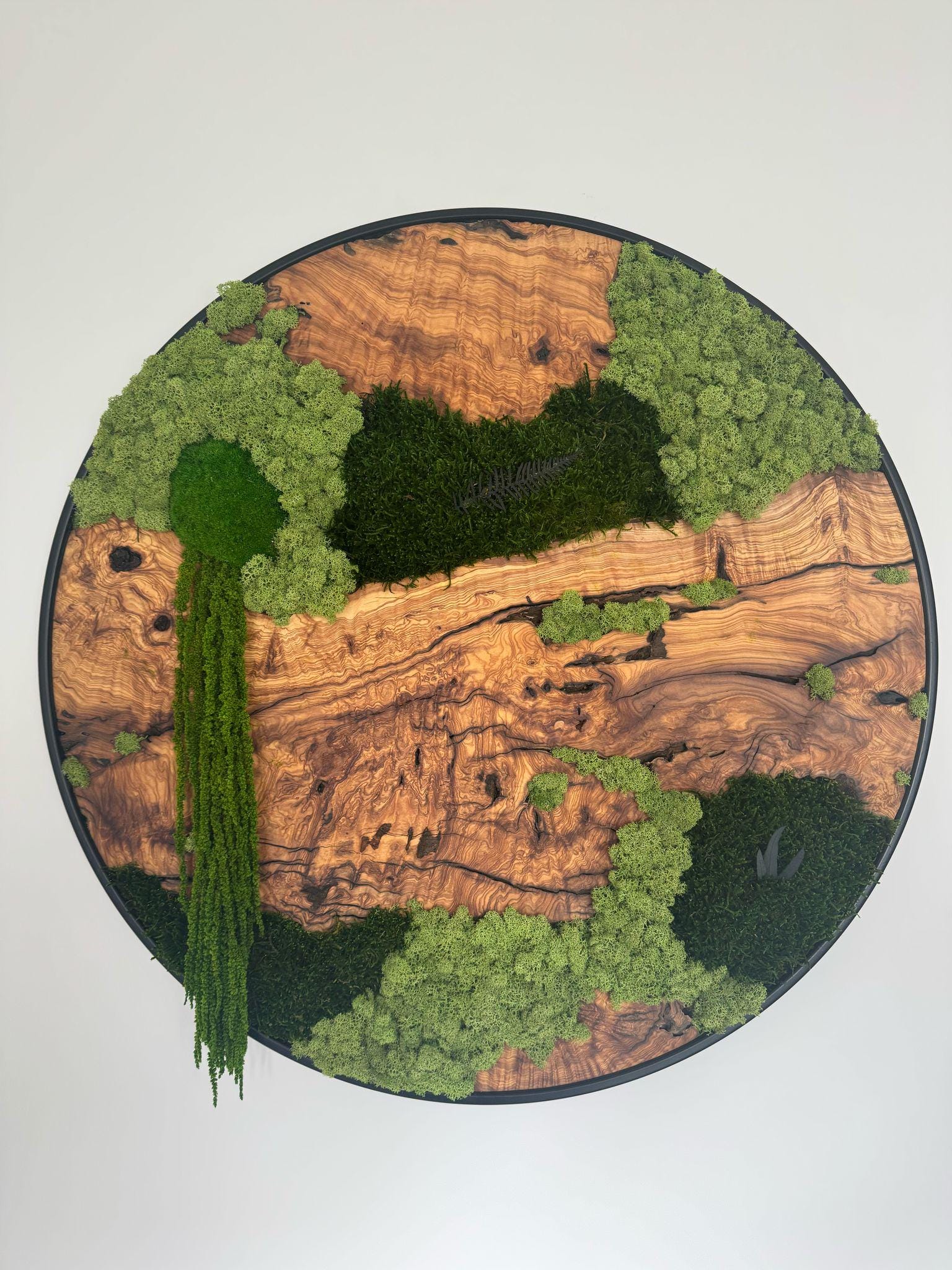 Custom Made Moss and Olive Wood Wall Art, Metal Frame Moss Wall Decor, Olive Wood and Moss Wall Art- Preserved Stabilized Moss Wall Decor