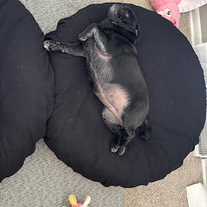 Liz ha añadido una foto de su compra