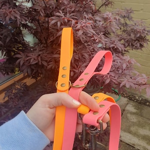 Watermelon added a photo of their purchase