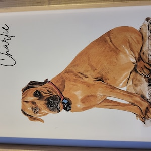 Red added a photo of their purchase