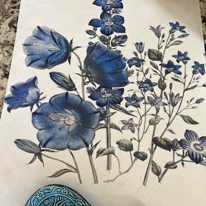 Dna Wall Art, Set of 4,dna Molecule, Rna Molecule, Science Art, Medical ...