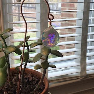 Patricia added a photo of their purchase
