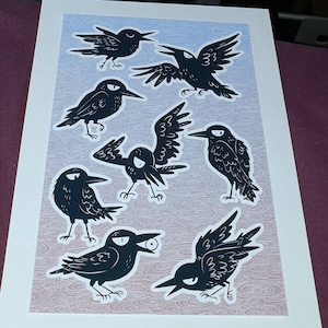 Tandri ha aggiunto una foto del proprio acquisto