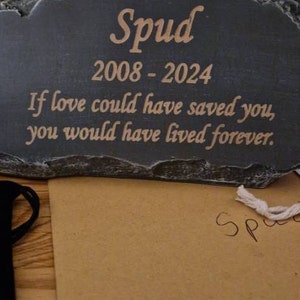 Suzanne added a photo of their purchase