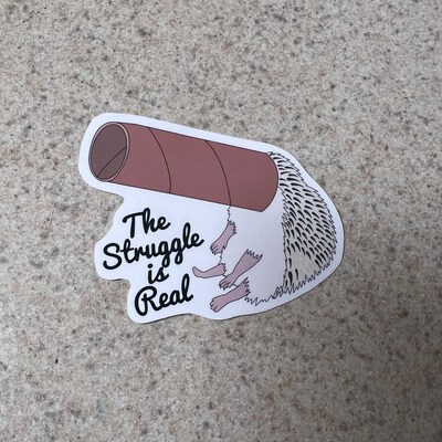 Sponge and Star STICKER - Etsy