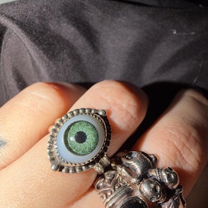 Luz added a photo of their purchase
