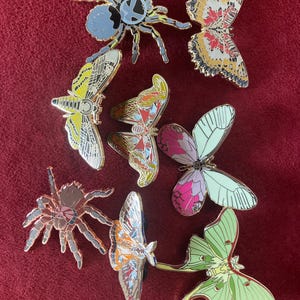 B級ピンズ 閉店セール - ピンのみ、バッカーカードなし - 教育用昆虫